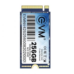 evm m 2 ssd 256gb